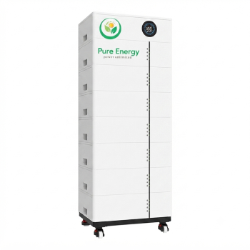 FLS 48100SG1 LITHIUM BATTERY