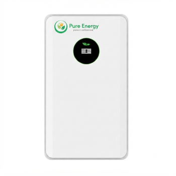 FLA 48100 LITHIUM BATTERY
