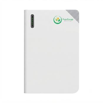 FLB 48100WG1-H LITHIUM BATTERY