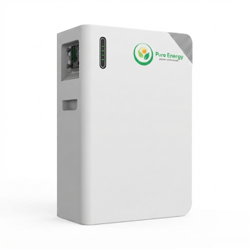 FLB 48230WG1-H LITHIUM BATTERY